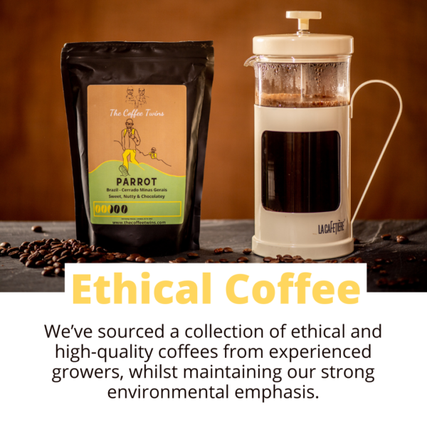 Freshly Roasted Blend Coffee Beans Ethically Sourced