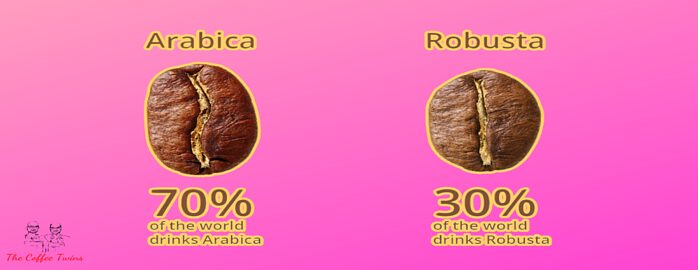 Two coffee beans: Arabica 70% of the world drinks it, Robusta: 30% of the world drinks it