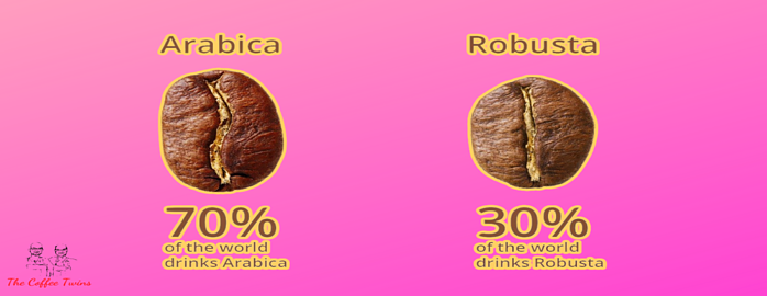 Two coffee beans: Arabica 70% of the world drinks it, Robusta: 30% of the world drinks it