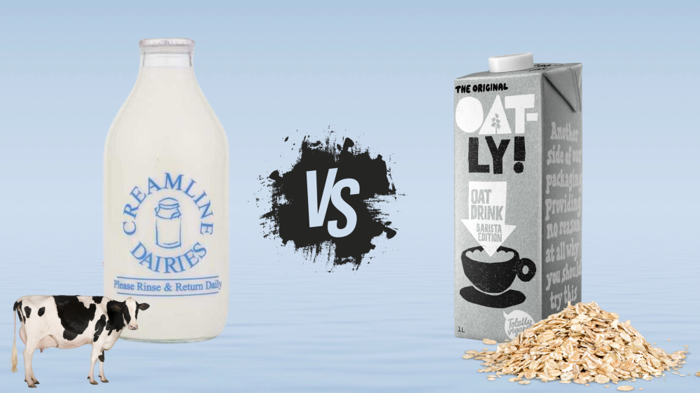 Whole milk bottle with text saying vs with a oat carton.  Picture of cow near bottle and oats near oat carton