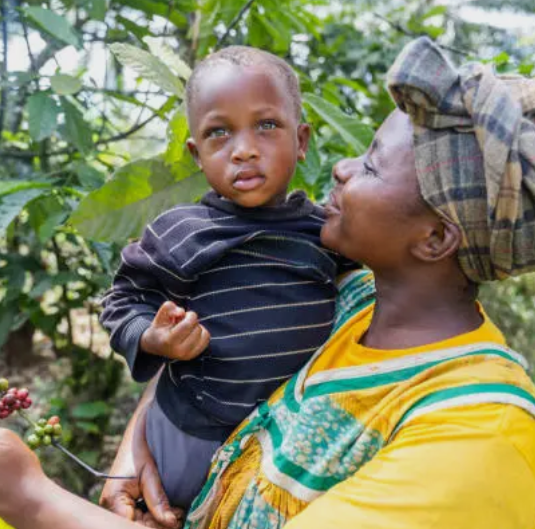 A woman holding a child while displaying coffee cherries in a lush green environment.