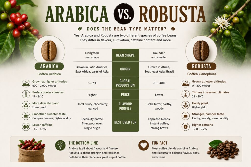 Arabica vs Robusta coffee infographic comparing the two main coffee bean species. Educational chart showing differences in flavour, caffeine content, growing conditions, bean shape, altitude, origin, and typical uses. The graphic explains why Arabica beans are preferred for speciality coffee due to their sweeter, more complex flavour, while Robusta beans are commonly used in instant coffee and espresso blends because of their higher caffeine content and bolder taste.