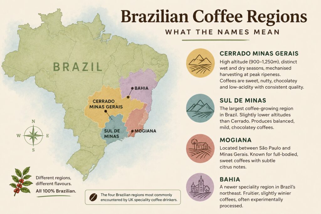 Brazilian coffee regions map highlighting Cerrado Minas Gerais, Sul de Minas, Mogiana, and Bahia. The infographic explains how different growing regions influence flavour, from sweet and chocolatey Cerrado coffees to fruitier coffees from Bahia.