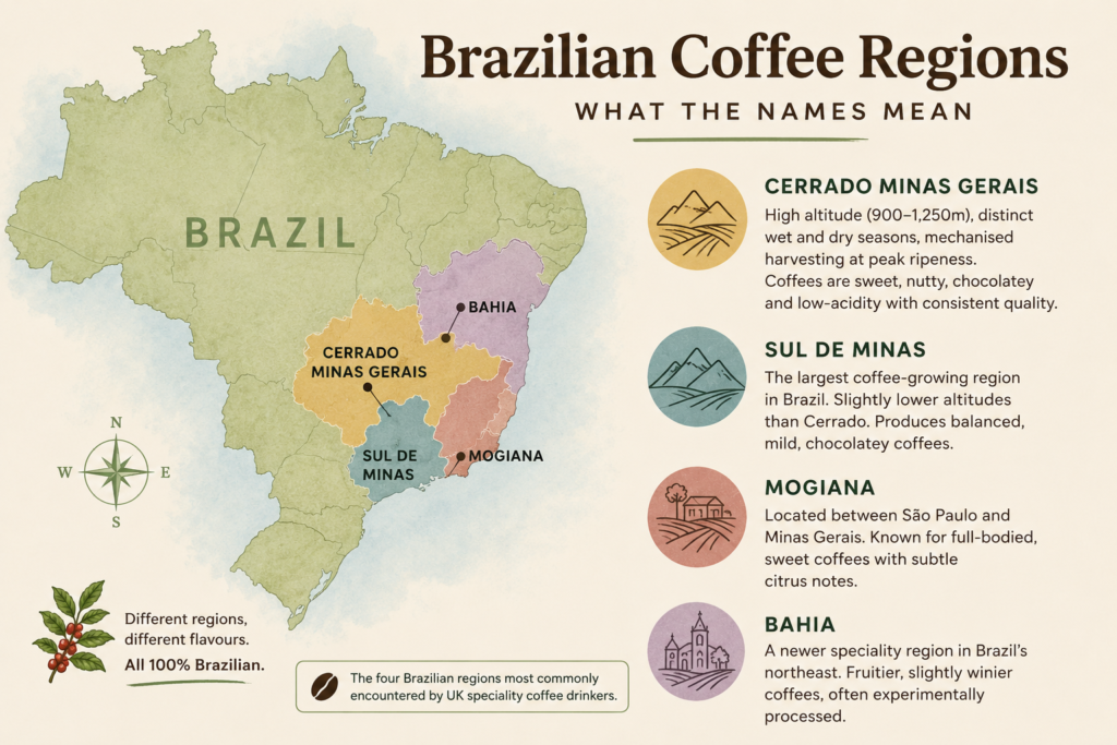 Brazilian coffee regions map highlighting Cerrado Minas Gerais, Sul de Minas, Mogiana, and Bahia. The infographic explains how different growing regions influence flavour, from sweet and chocolatey Cerrado coffees to fruitier coffees from Bahia.