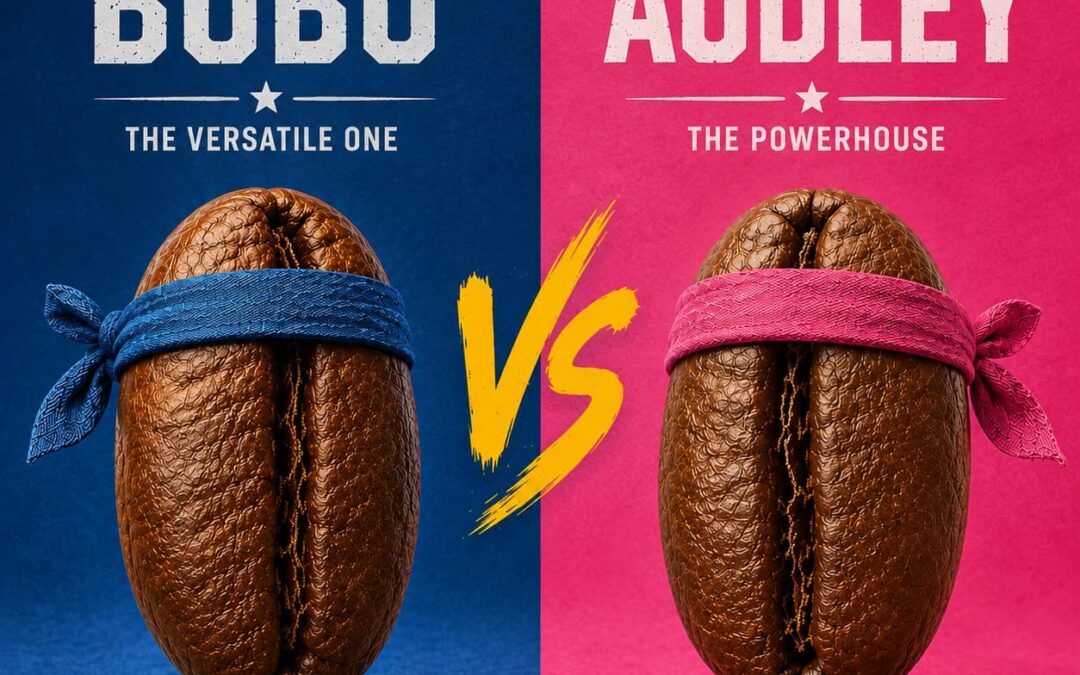 Bobo vs Audley: Which Coffee Twins Blend Should You Choose in 2026?